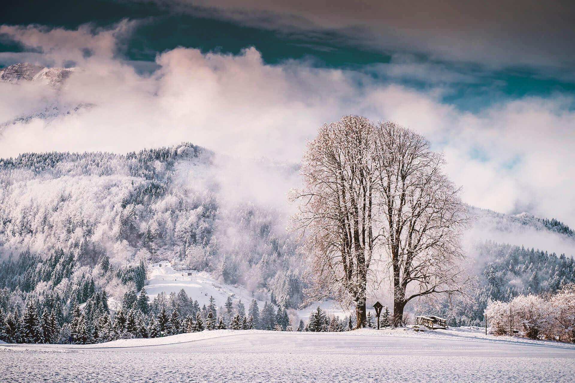 Ausflugsziele: Königssee, Chiemsee & Salzburg