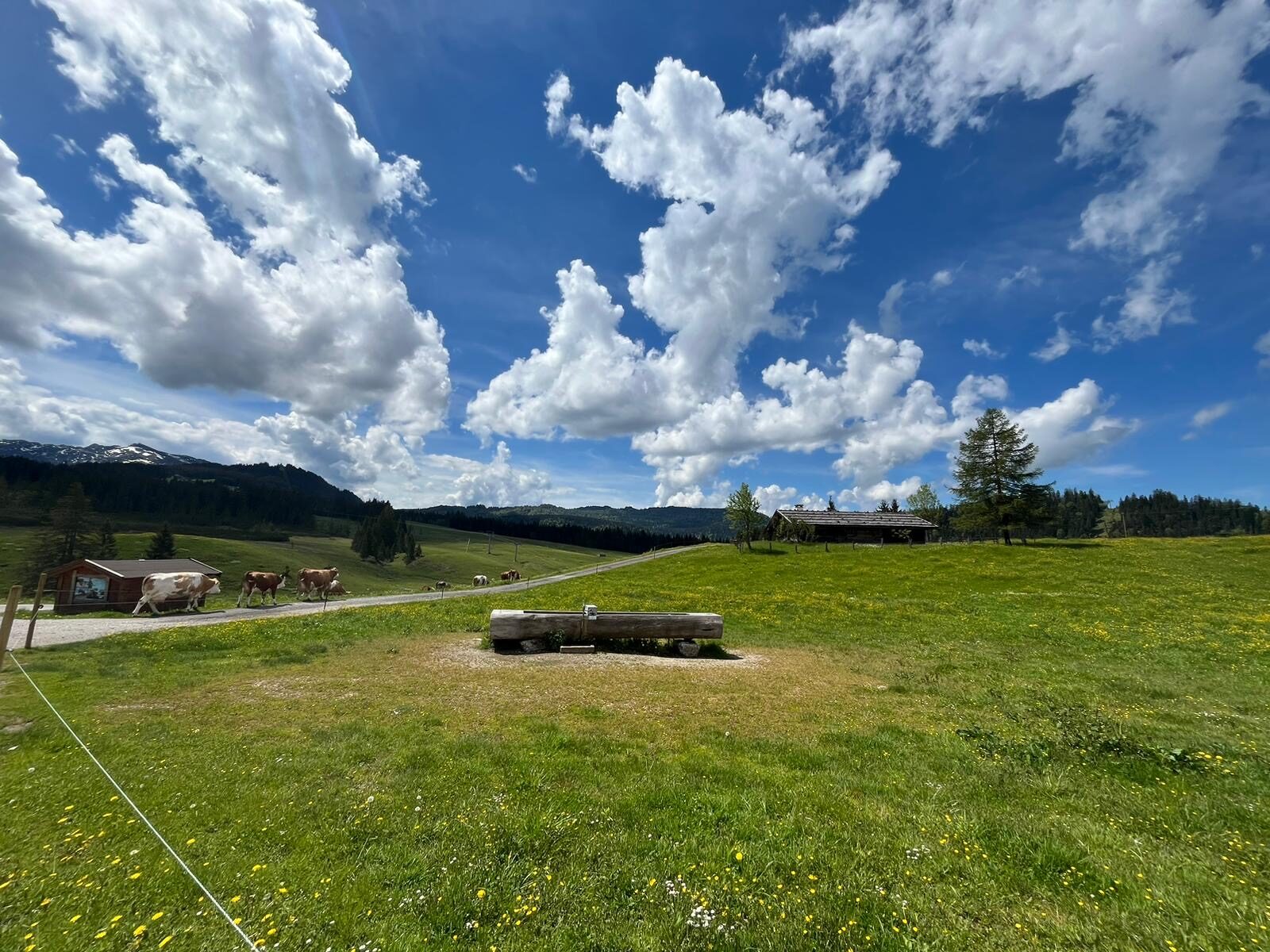 Wandern, Mountainbiking und Berggenuss